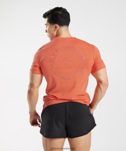 Gymshark Belgie - Gymshark erfenis t-shirt ruimtevaart oranje Heren Z6ZD64765