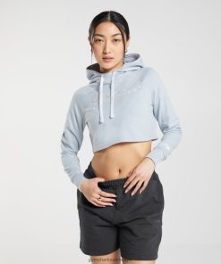 Gymshark Belgie - Gymshark geborduurde grafische cropped hoodie riviersteengrijs vrouwen Z6ZD64382