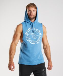Gymshark Belgie - Gymshark legacy drop-arm hoodie kust blauw Heren Z6ZD64829