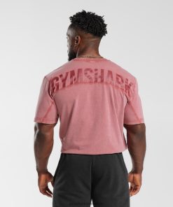 Gymshark Leggingg - Gymshark power-washed t-shirt zongedroogd rood Heren Z6ZD64664