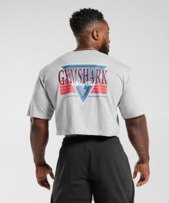 Gymshark Leggingg - Gymshark retrowave crop-t-shirt lichtgrijze kernmergel Heren Z6ZD64588