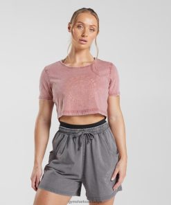 Gymshark Sale - Gymshark erfenis croptop terracottaroze/zure wassing vrouwen Z6ZD64502
