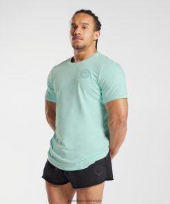 Gymshark Sale - Gymshark erfenis t-shirt aquagroen Heren Z6ZD64766