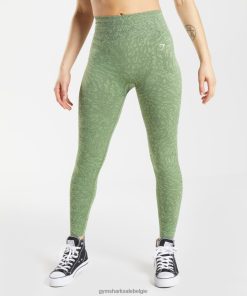 Gymshark Shorts - Gymshark pas dieren naadloze leggings aan wild | leguaan groen vrouwen Z6ZD64307